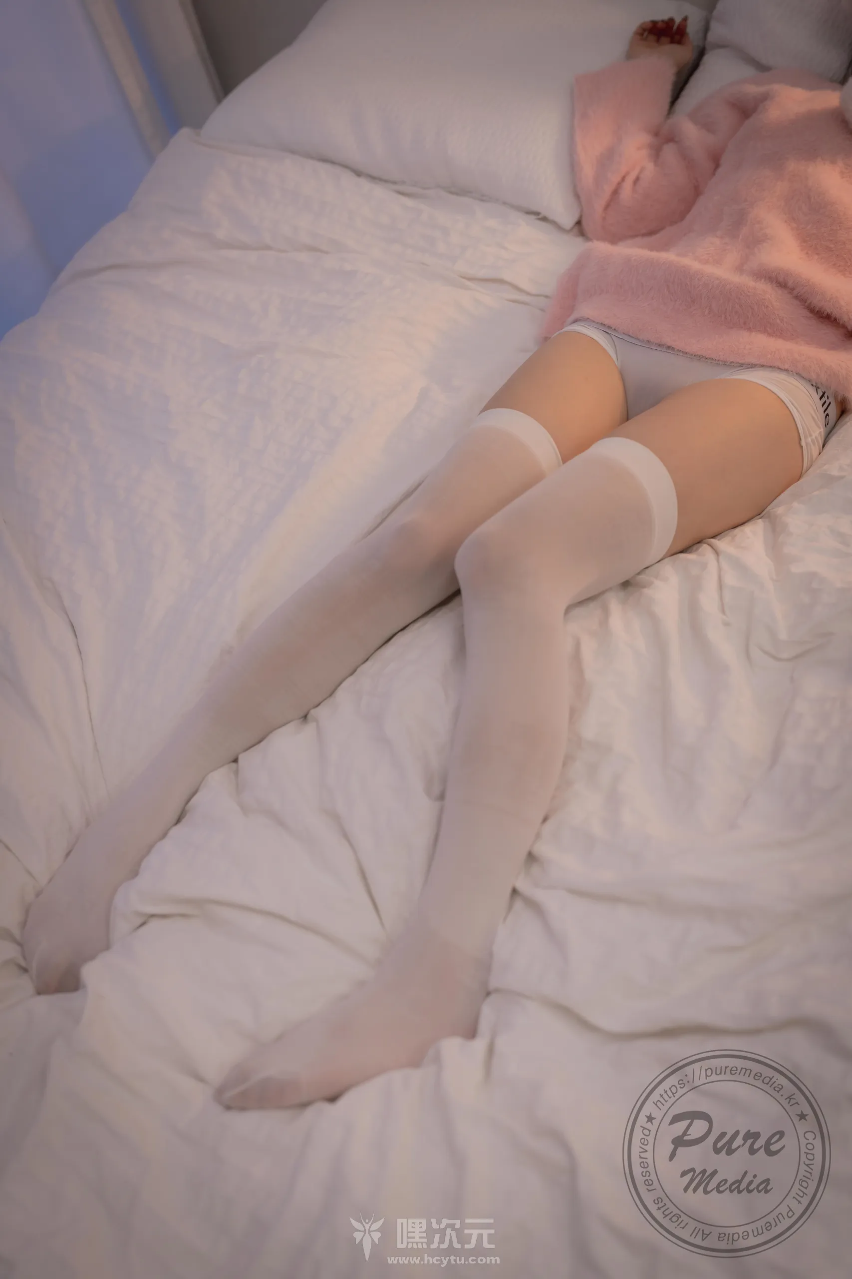 Pure Media 写真合集下载