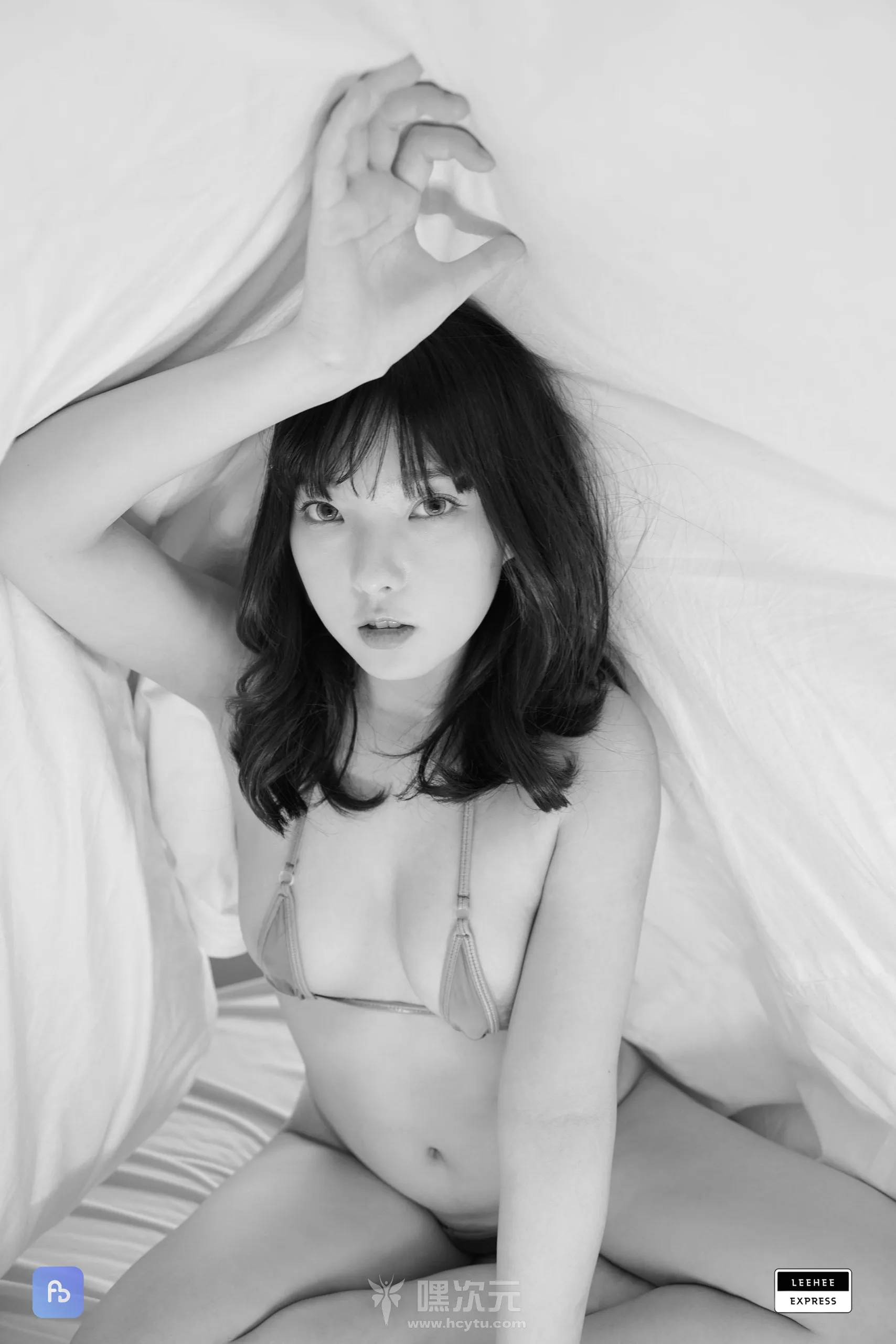 Hansom 写真合集下载