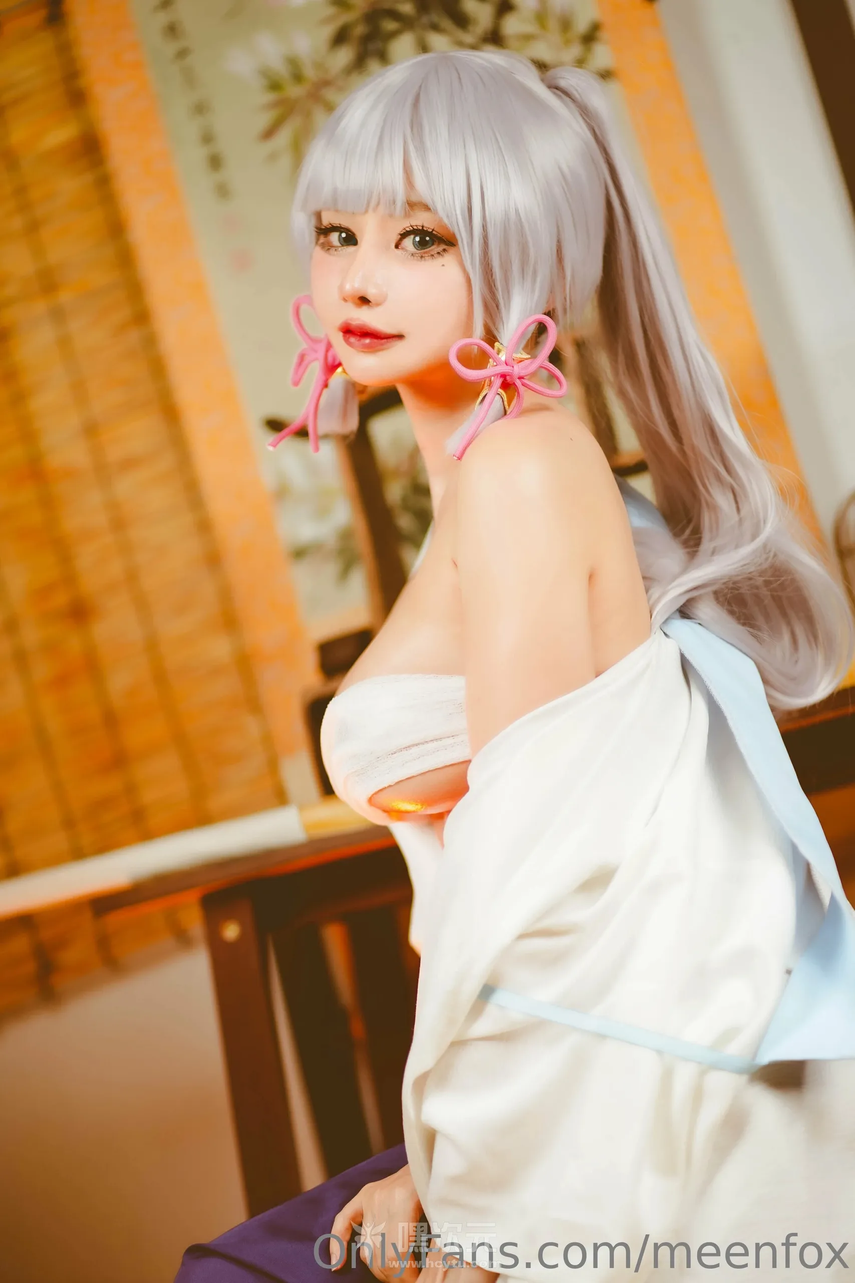 Meenfox 写真合集下载