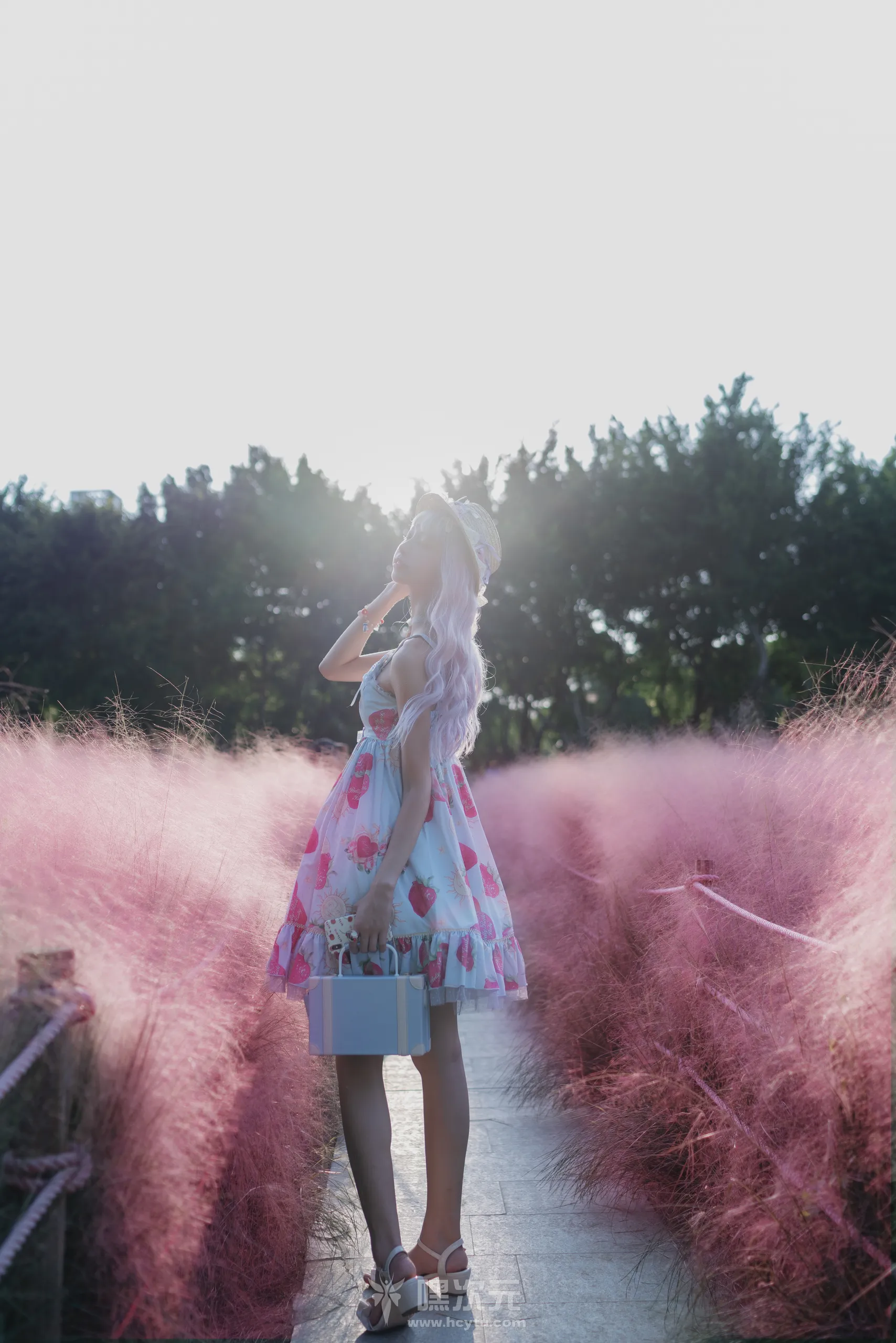 西瓜少女 粉草 写真图片 - 嘿次元 图5