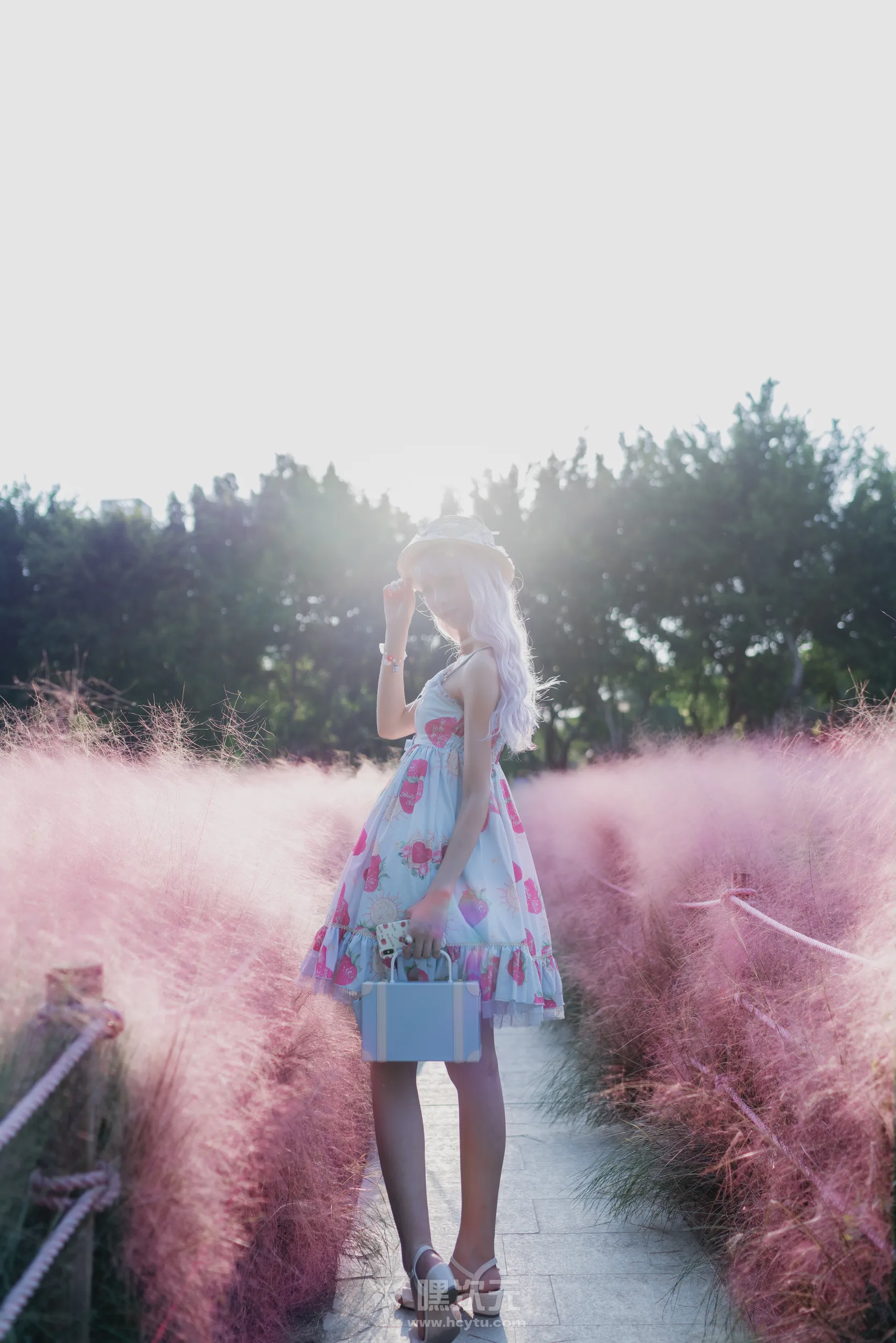西瓜少女 粉草 写真图片 - 嘿次元 图4