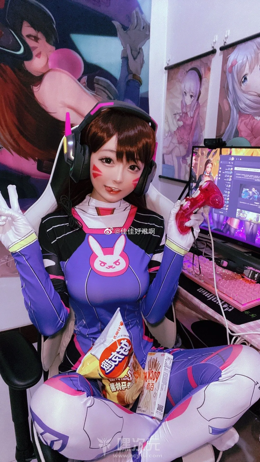 佳佳好难啊_VOL.15_守望先锋DVA