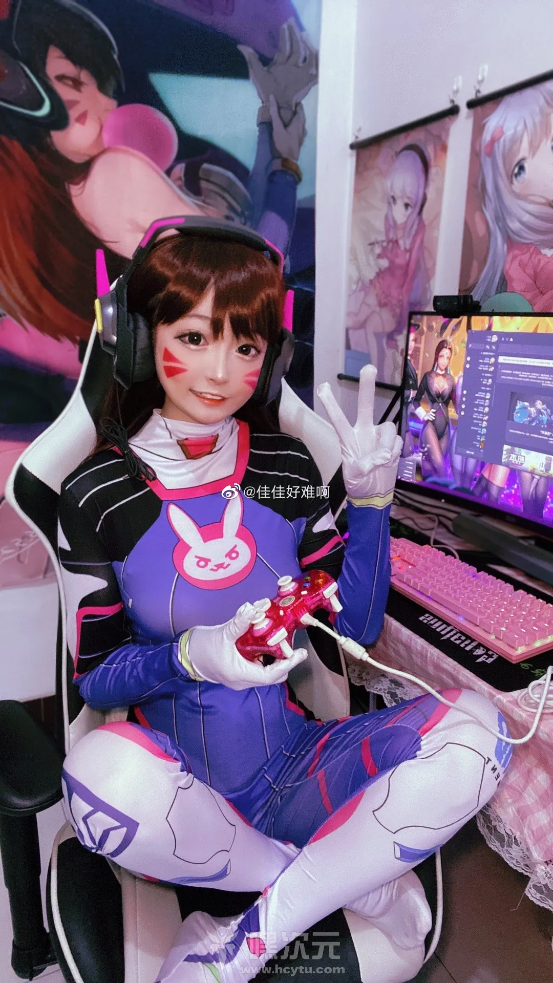 佳佳好难啊_VOL.15_守望先锋DVA