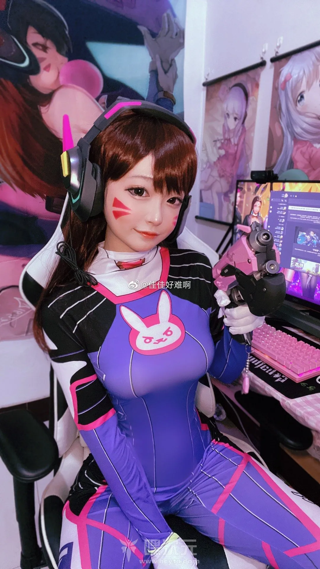 佳佳好难啊_VOL.15_守望先锋DVA