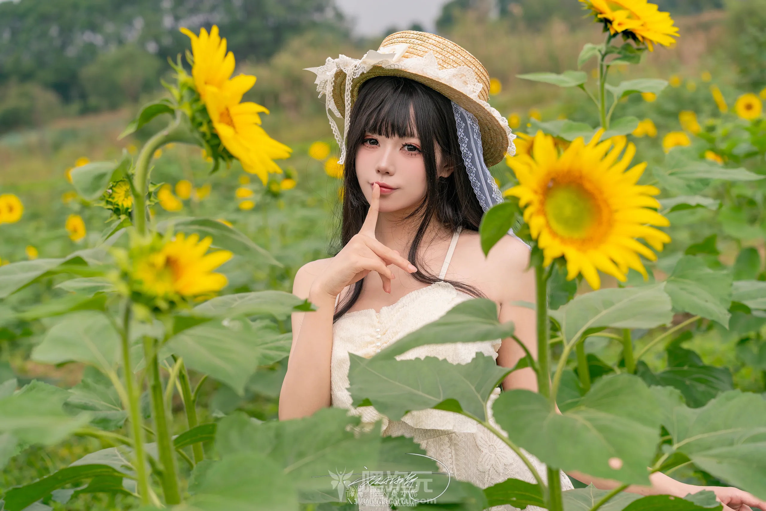 咬人小小兔 夏の葵[七月作品][在线欣赏]