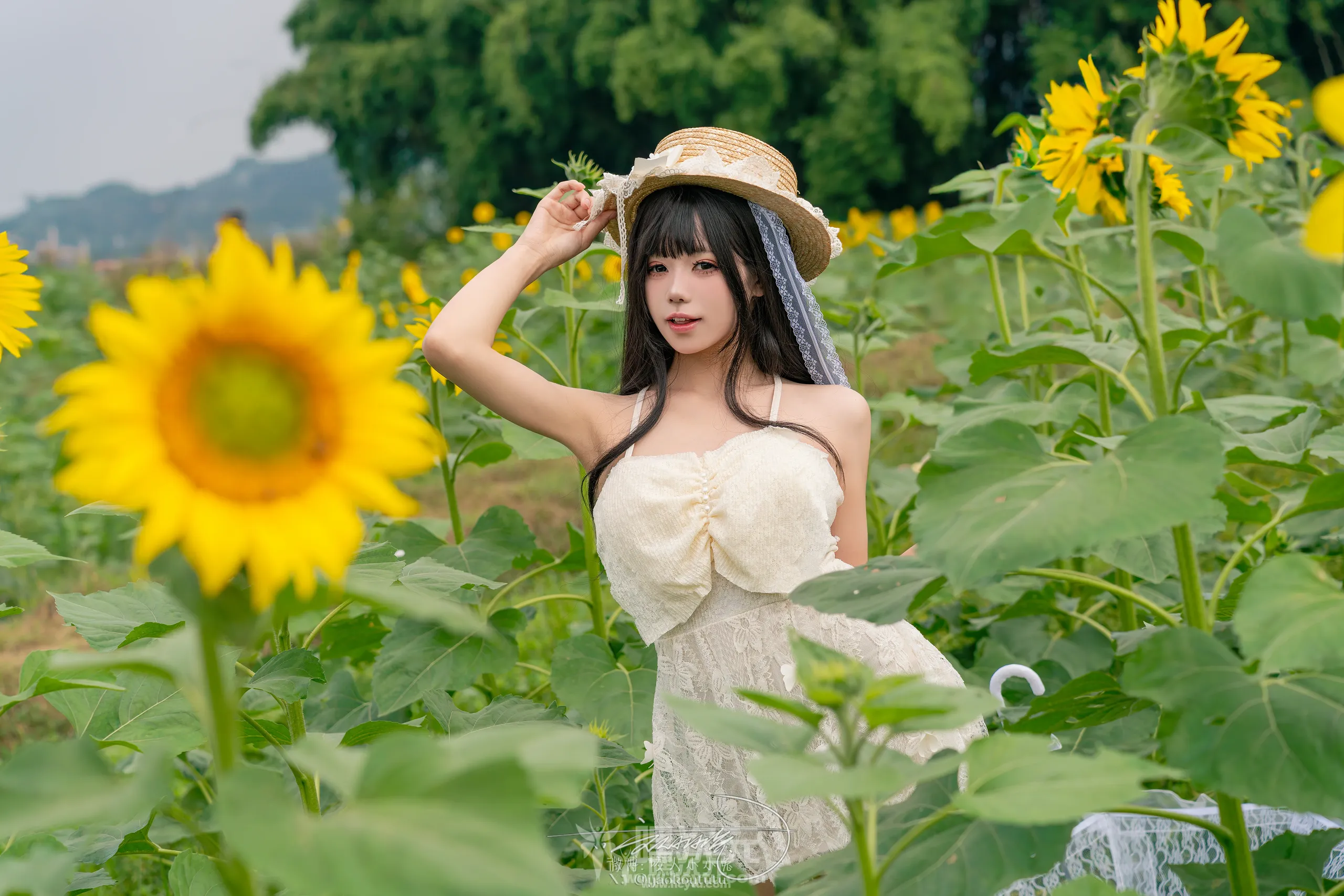 咬人小小兔 夏の葵[七月作品][在线欣赏]