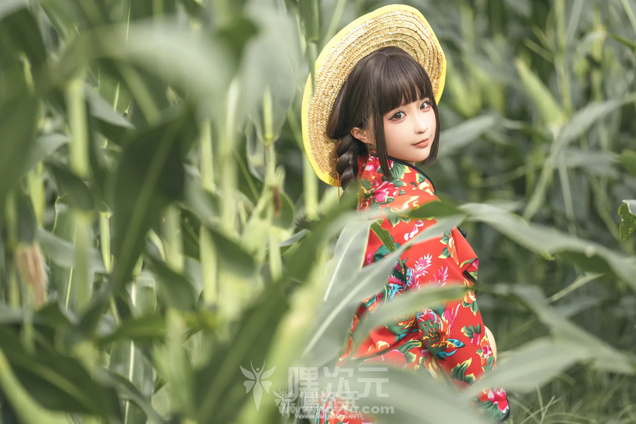 蠢沫沫 NO.201 苞米地的故事写真图片欣赏
