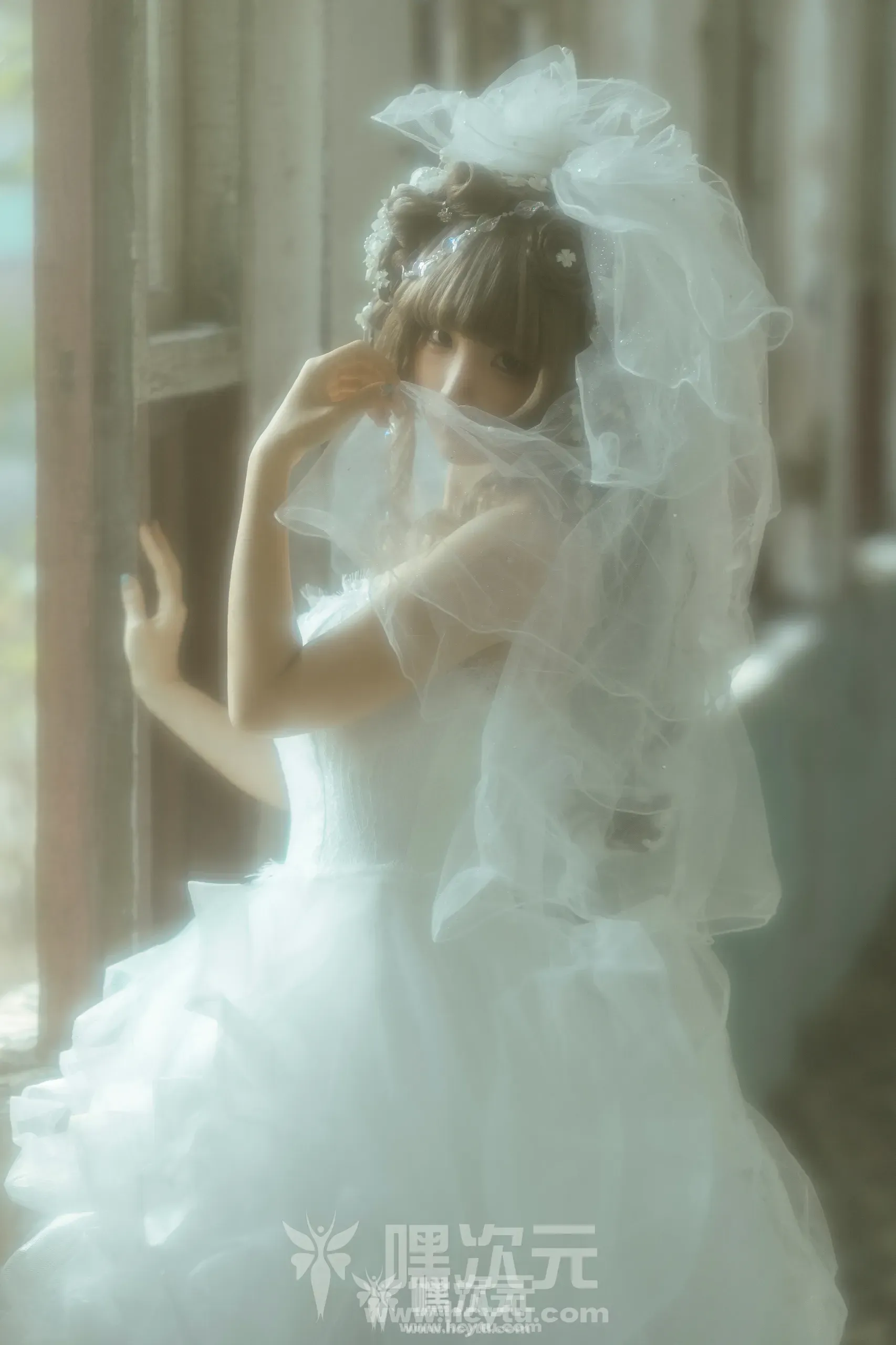 蠢沫沫 《婚纱》[二月作品][在线欣赏]