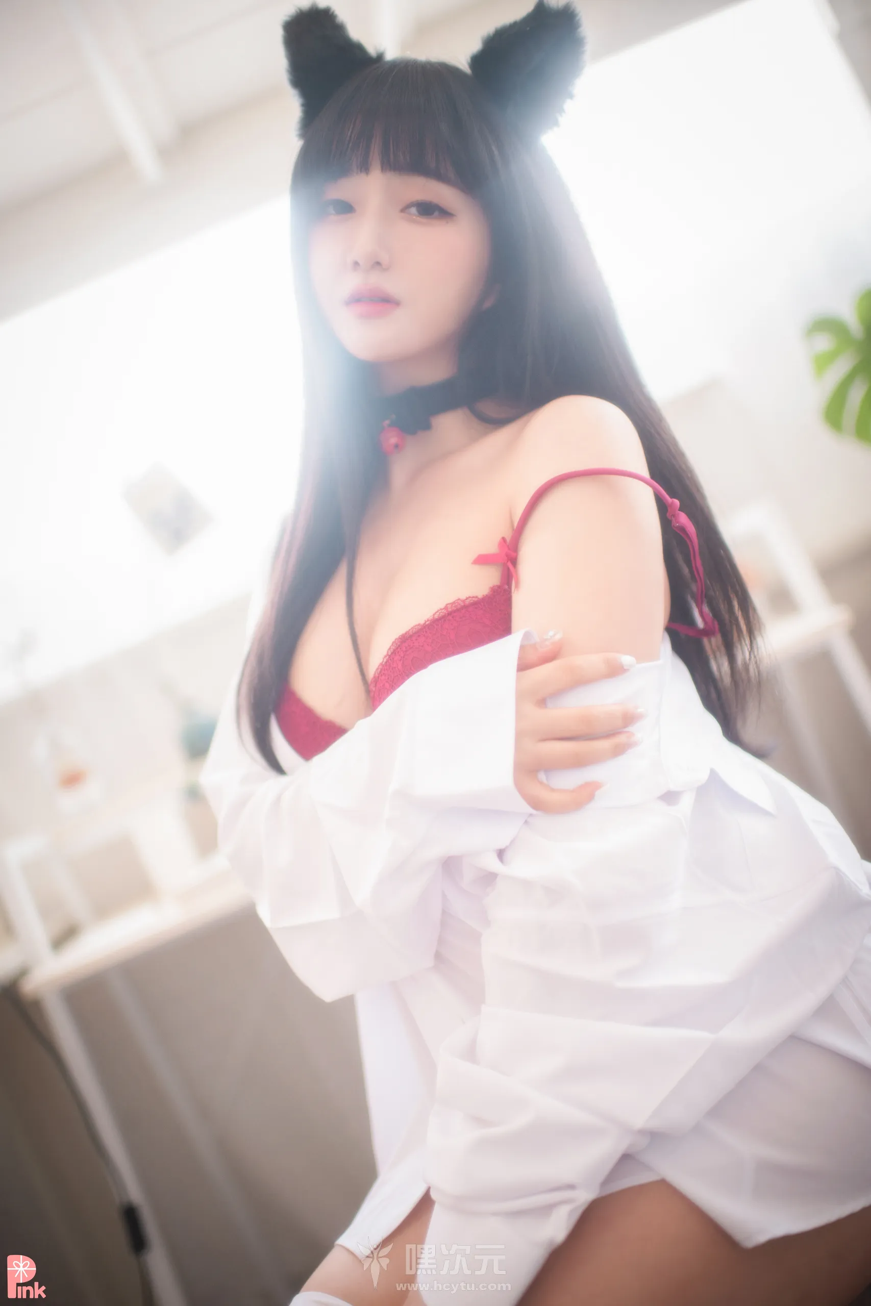 PINK RIBBON 写真合集下载
