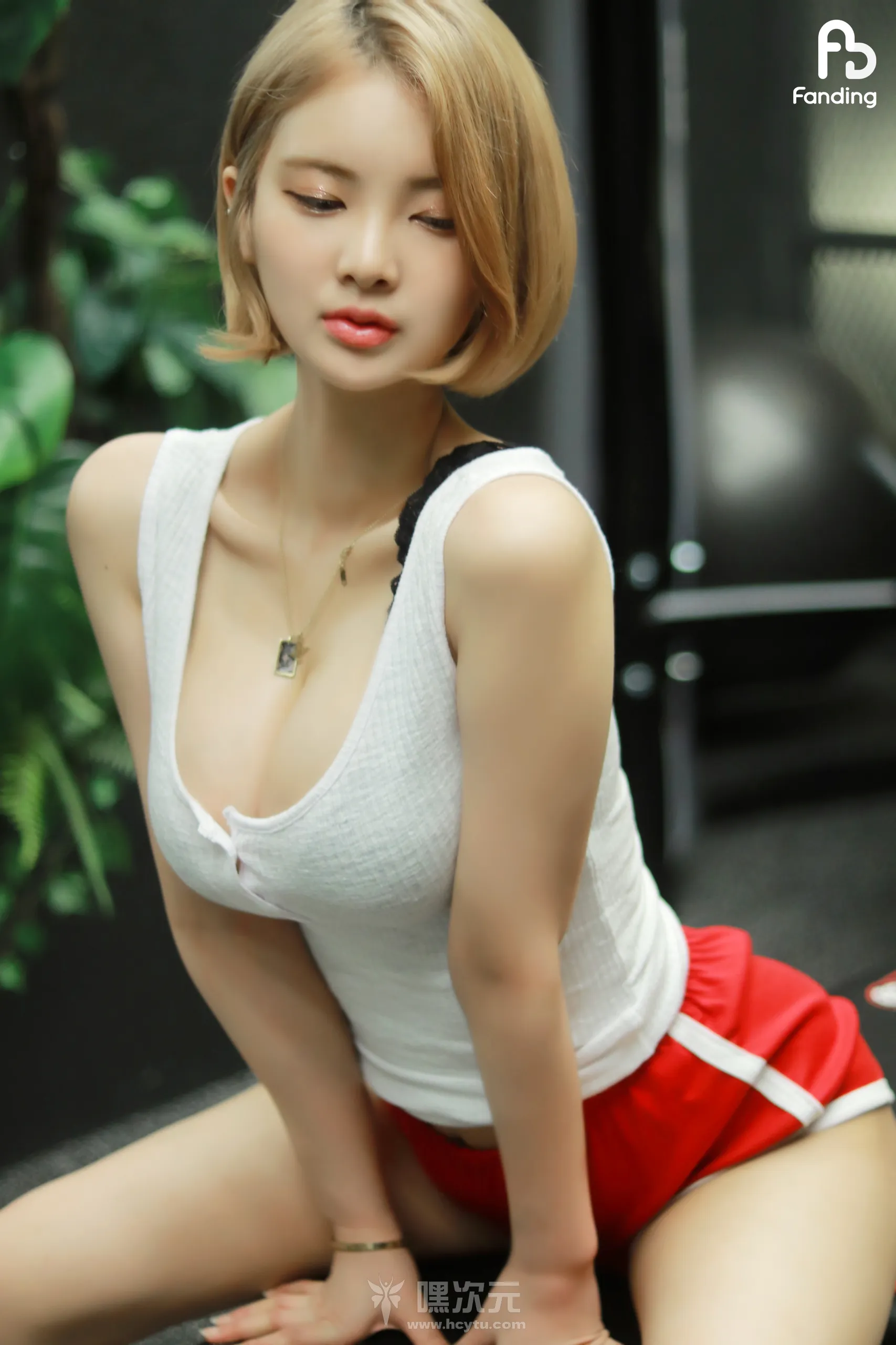 FANDING 写真合集下载