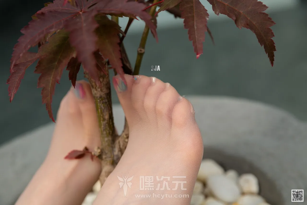 SJA佳爷 写真合集下载